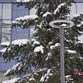  Buildings